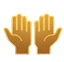 dua hands